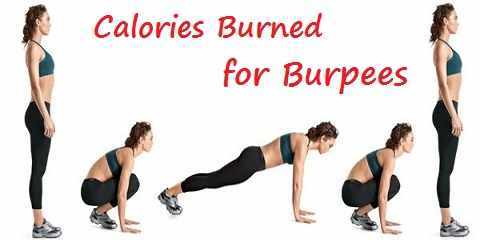 burpees calories burned