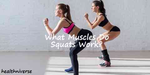what muscles do squats work